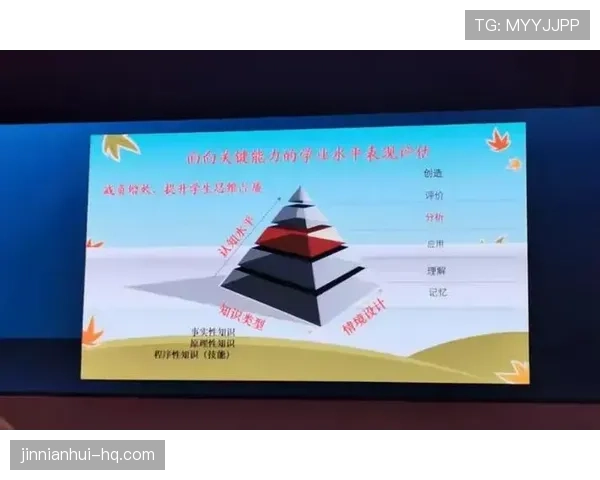 赖斯的真实水平体现在哪些关键能力维度上